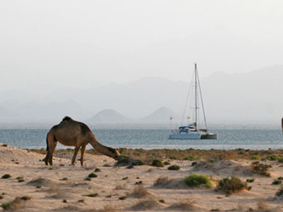 Red Sea rigors and rumors